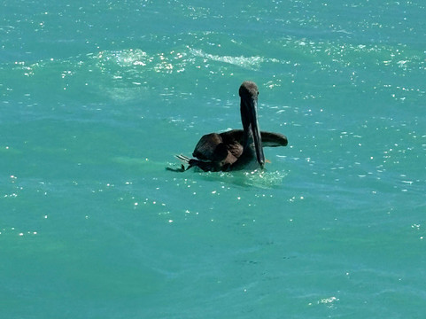 Taxi Personalizado-巴利亚多利德必去景点