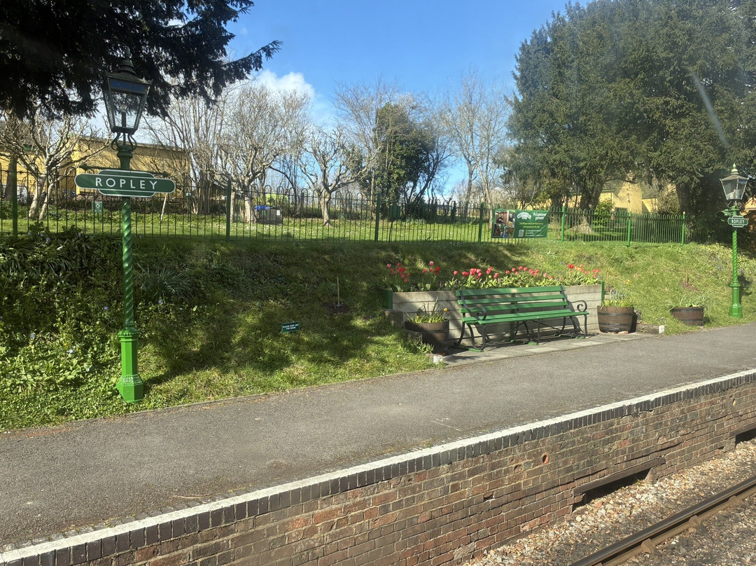 Watercress Line-Alresford必去景点