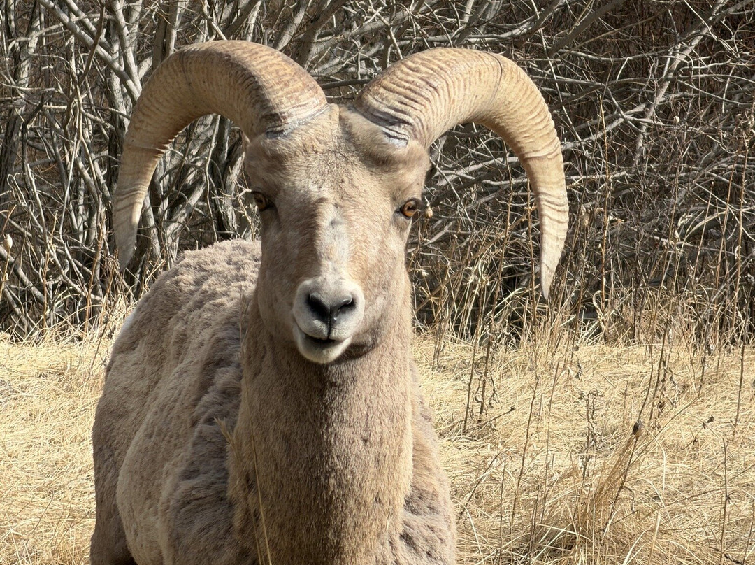 Wind Cave National Park-Wind Cave National Park必去景点
