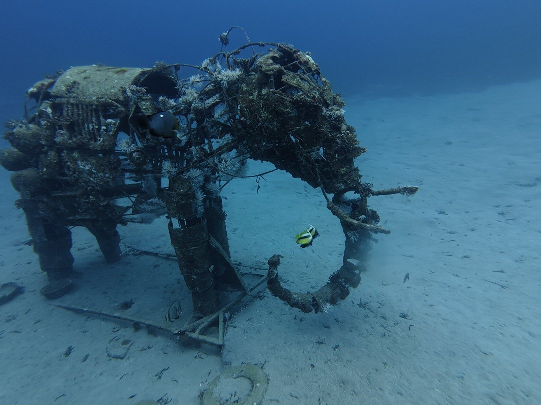 Sinai Divers Backpackers-达哈卜必去景点