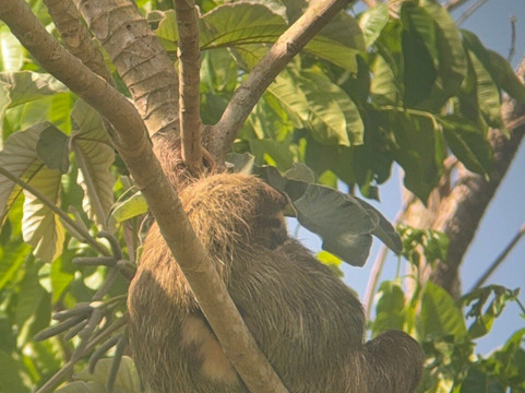Panama Road Trips-巴拿马城必去景点