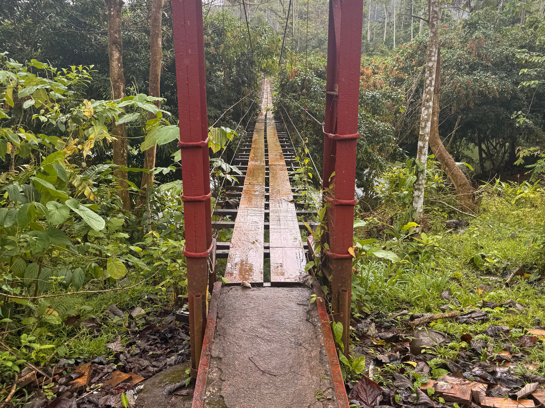 Sloths Paradise Rainforest-Bijagua de Upala必去景点