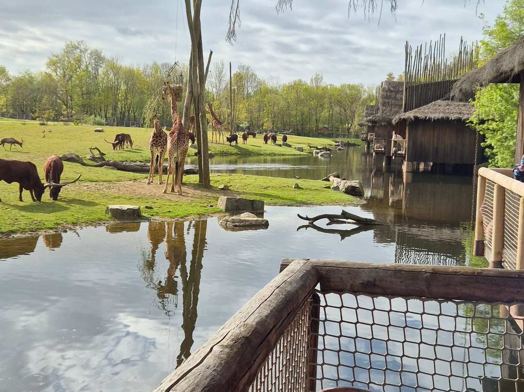 Planète Sauvage-Port-Saint-Pere必去景点