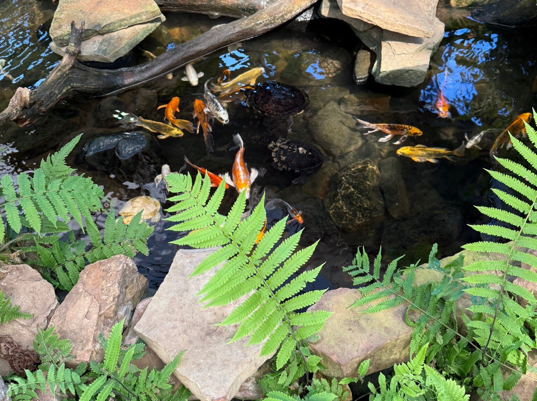 Shreveport Aquarium-什里夫波特必去景点