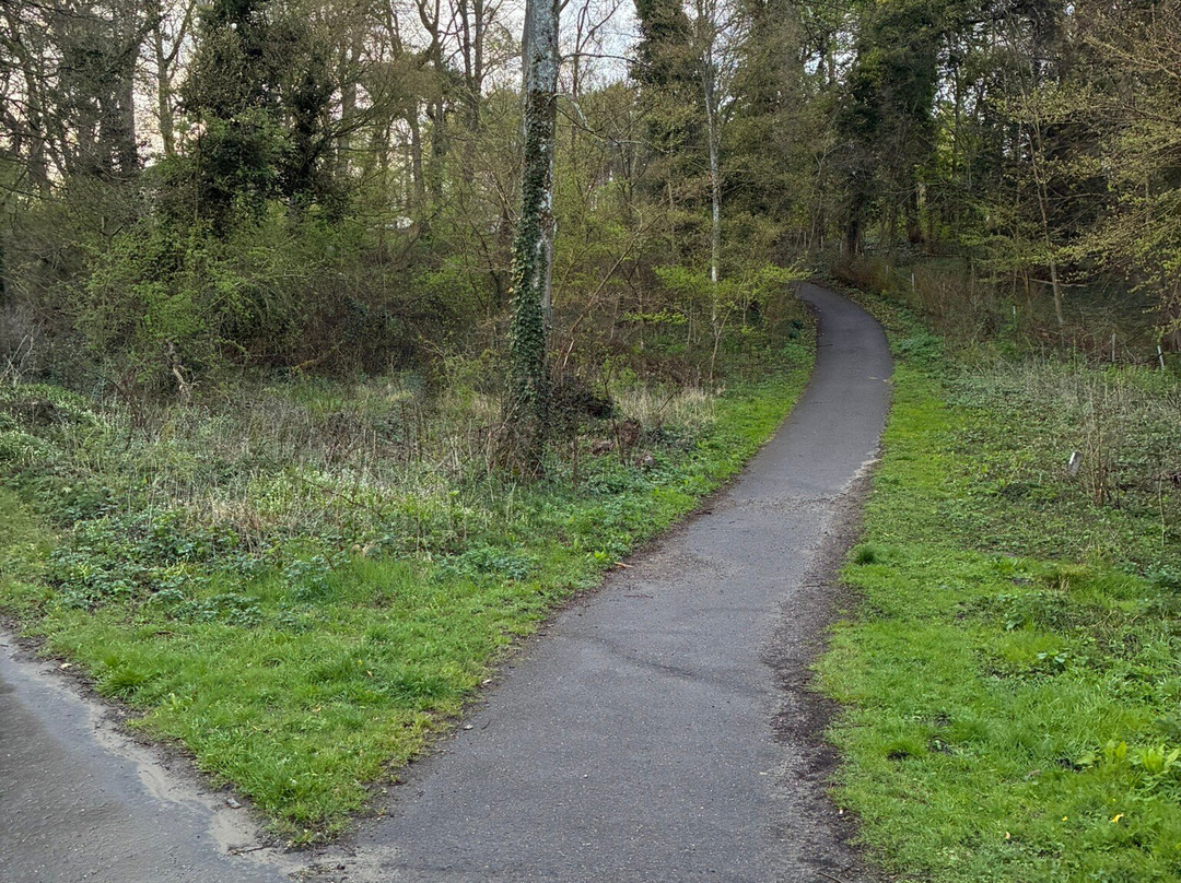 Brouwerskolkpark-Overveen必去景点