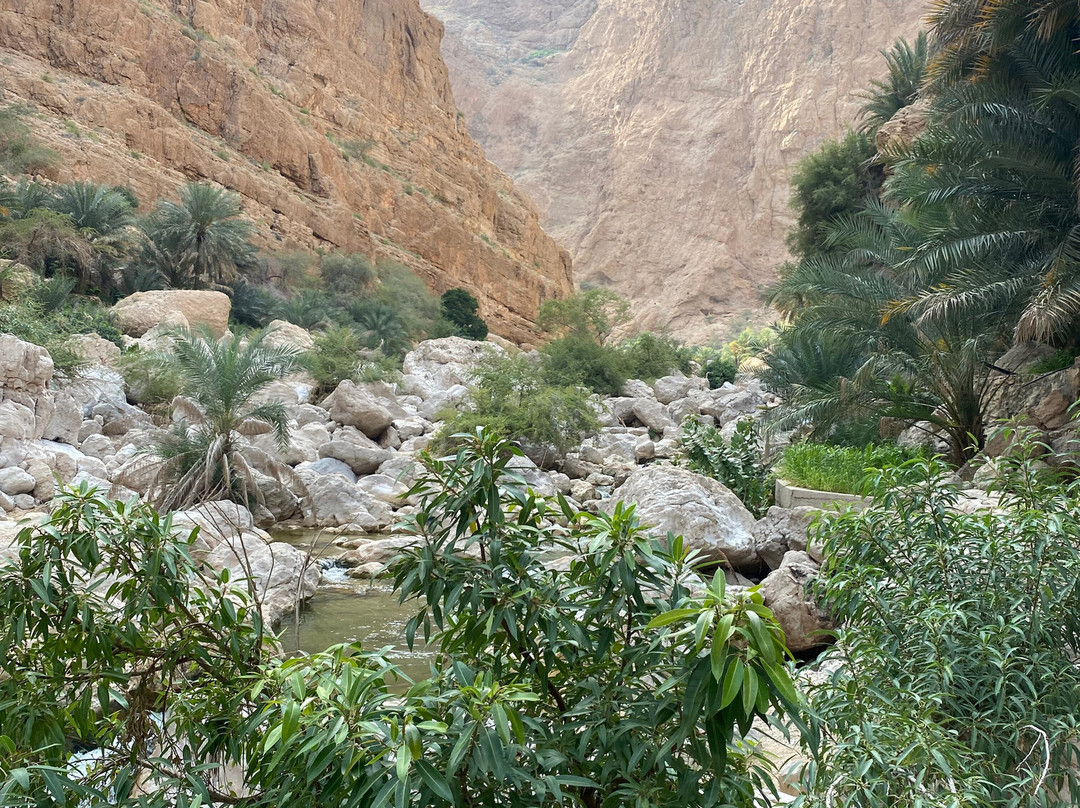Wadi Tiwi Mibam Adventure-提维必去景点