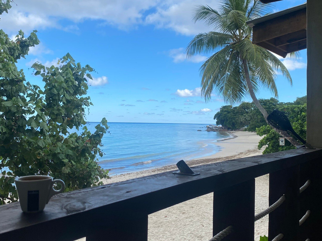 Equinoxe Ecole Seychelloise de Plongee-博瓦隆必去景点