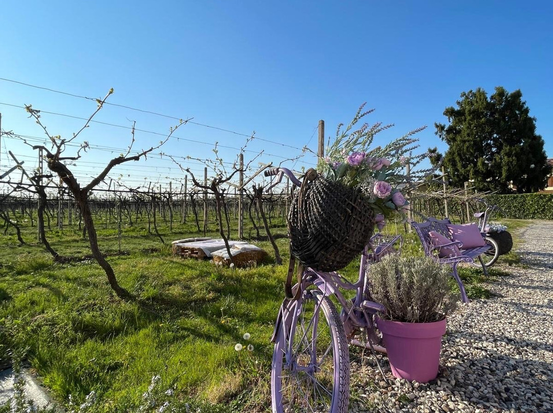 Azienda Agricola Fugolo Gianluca-Pescantina必去景点