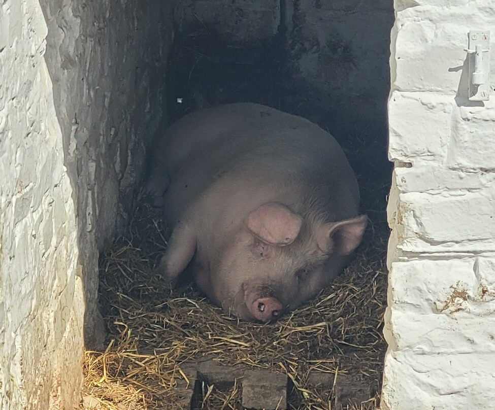 Llanerchaeron-Aberaeron必去景点