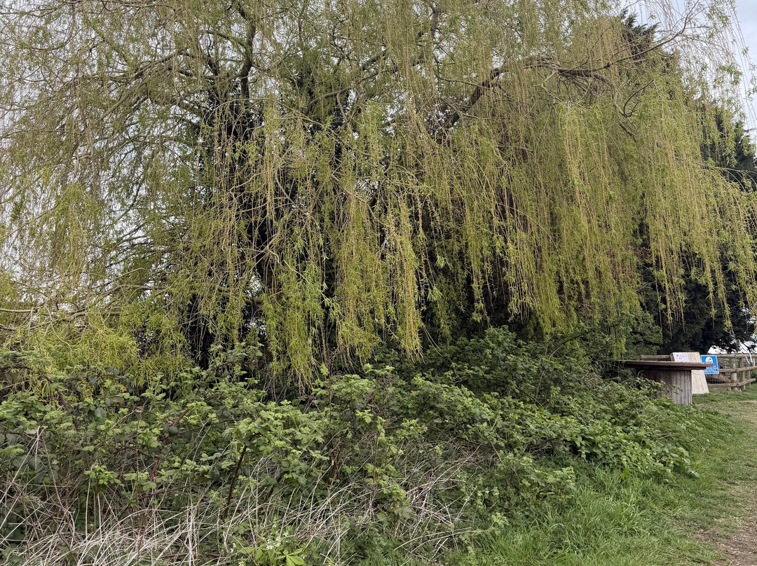 Floralands Farm Park-诺丁汉必去景点