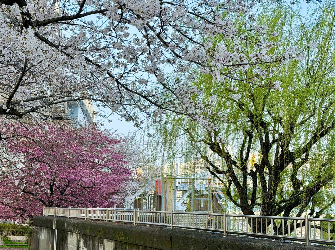 隅田公园-Mukou-jima必去景点