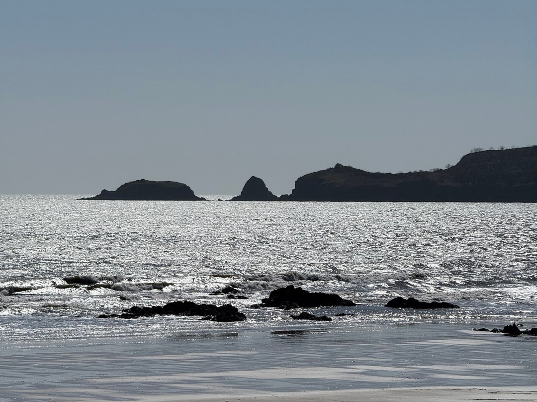 Tudor Lodge Bed & Breakfast主图