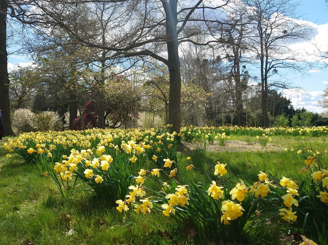 Hatfield House-哈特菲尔德必去景点