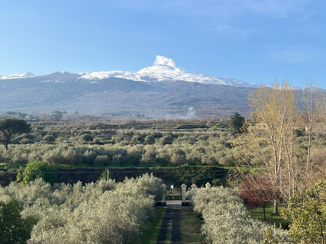 夫都法格力雅思蒂酒店主图