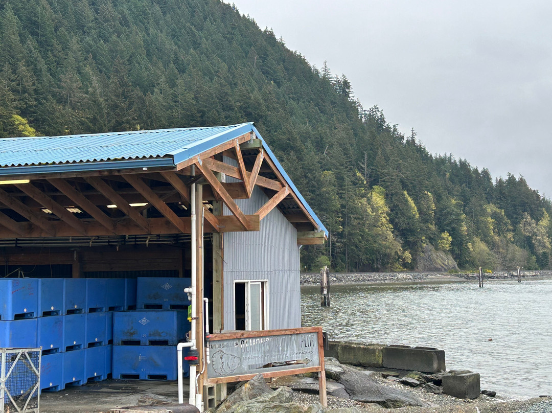 Taylor Shellfish Farms-Bow必去景点