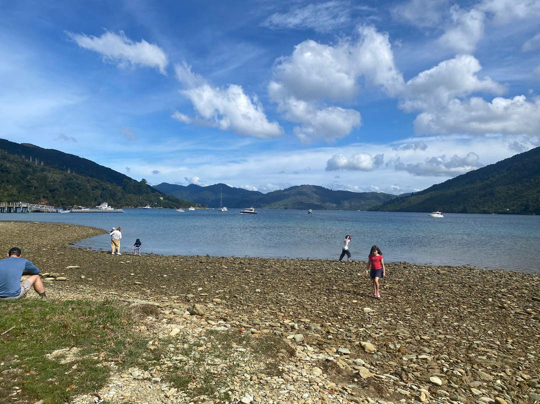 Wilderness Guides - Day Tours-皮克顿必去景点