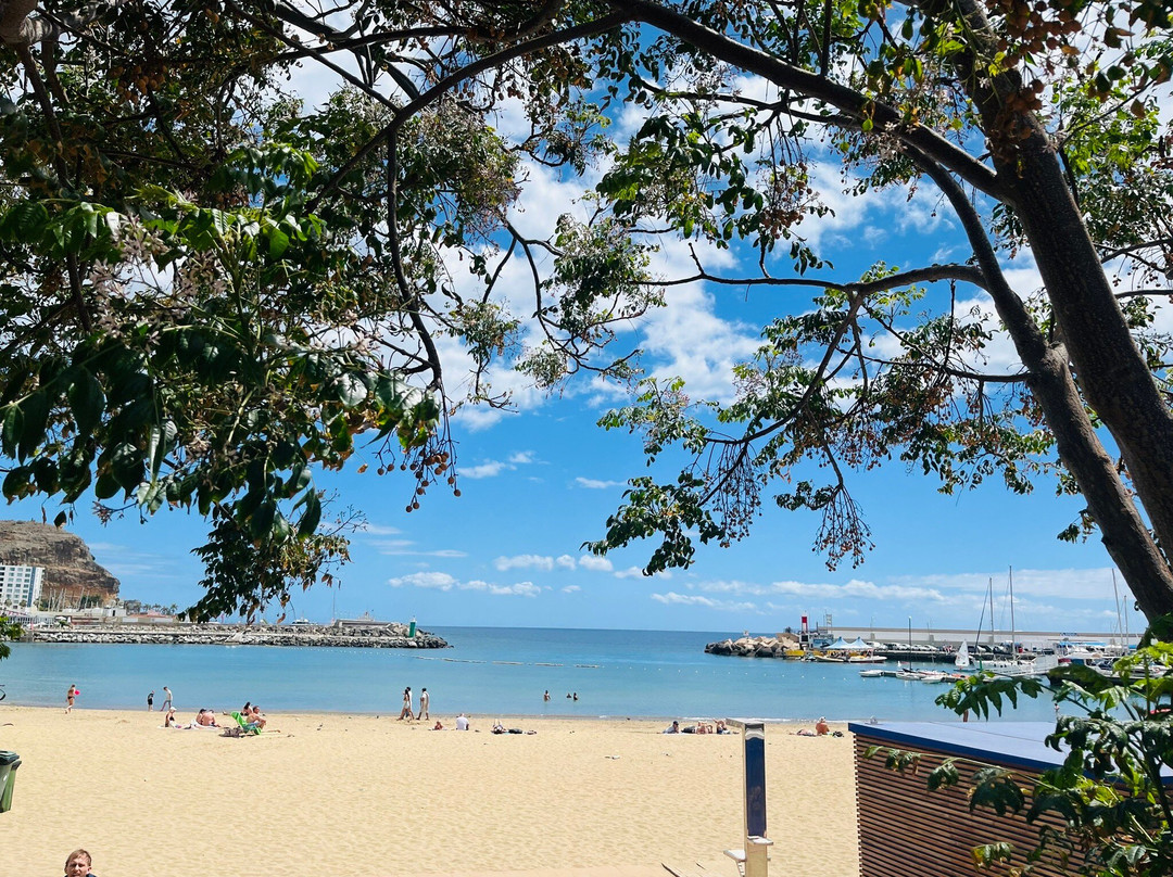 马拉开波公寓式酒店主图