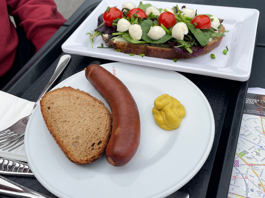 棕榈树公园-法兰克福必去景点