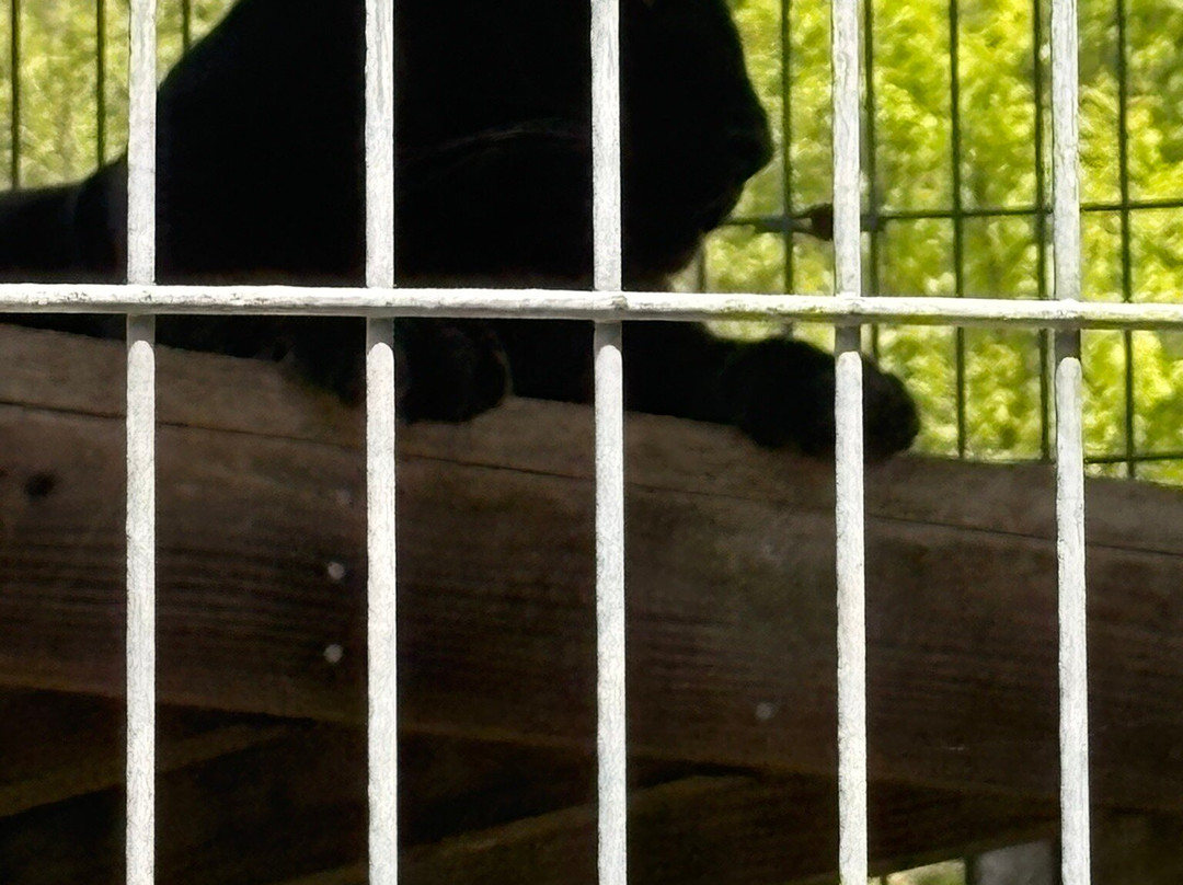 Animal Park NC-伯灵顿必去景点