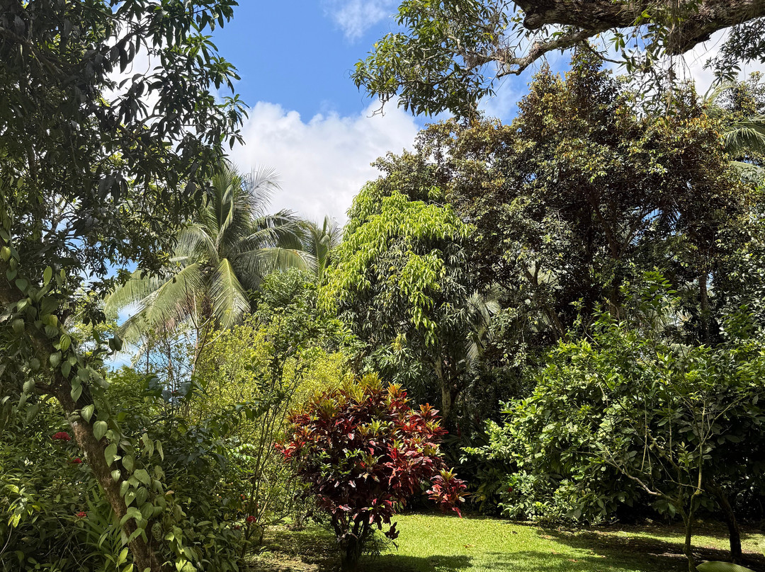 Sun Valley Plantation Hummingbird Garden-奥乔里奥斯必去景点