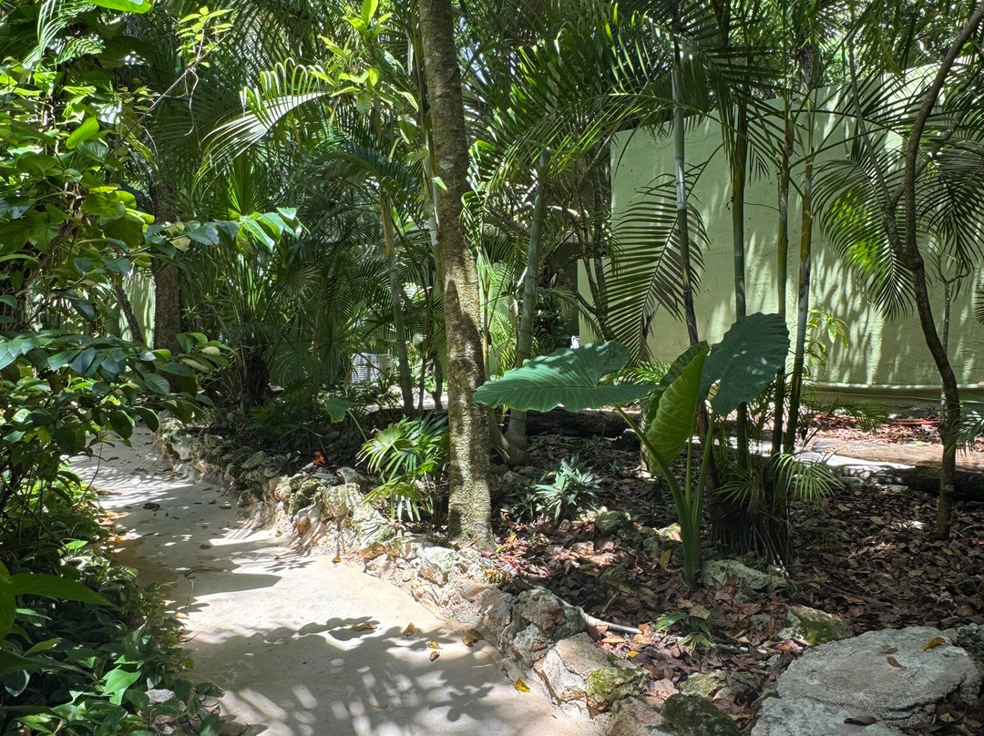 Los Colibries Mayan Jungle Spa-从莫雷洛斯港必去景点