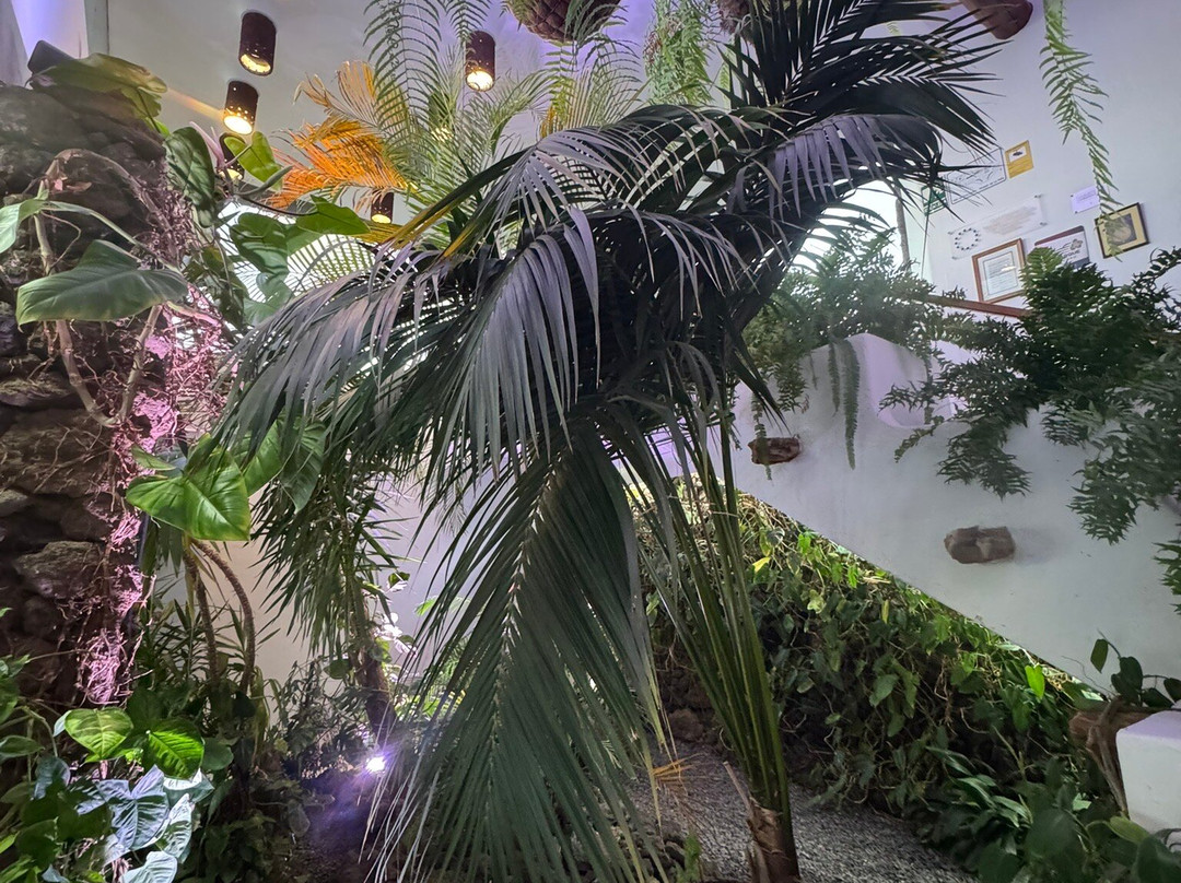 Mirador de la Pena-Guarazoca必去景点