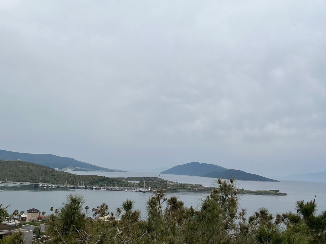 多利亚博德鲁姆酒店主图