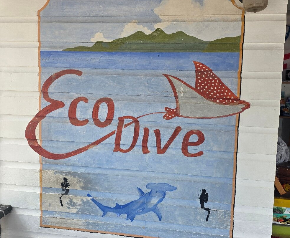 Eco Dive-St. George's必去景点