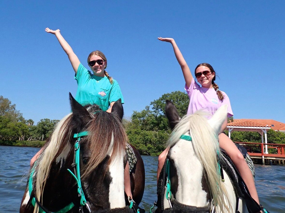 C Ponies Beach Horseback Rides-布雷登顿必去景点