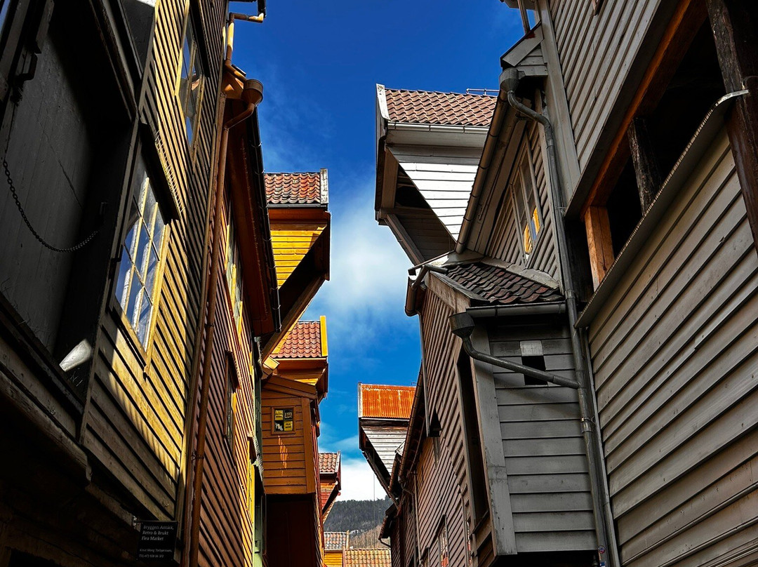 斯堪迪克欧内酒店主图