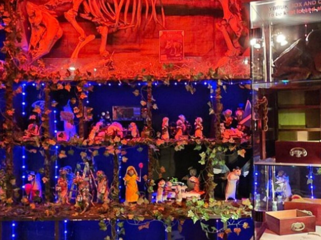 The Museum Of Curiosities-诺丁汉必去景点