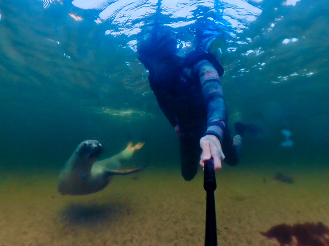 Stewart Island Snorkeling Adventures-Oban必去景点