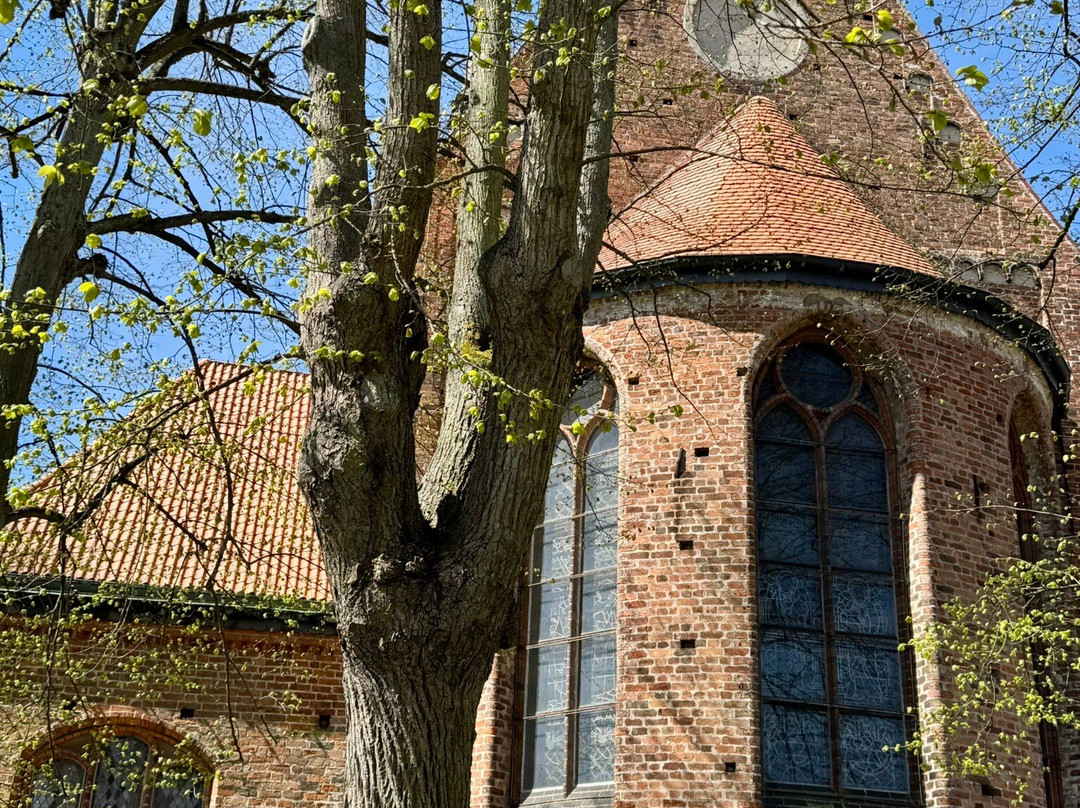 St. Nicolai Kirche-Molln必去景点