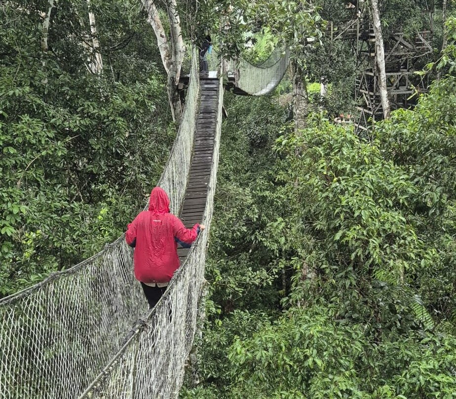 Tambopata Wild Life Perú-San Sebastian必去景点