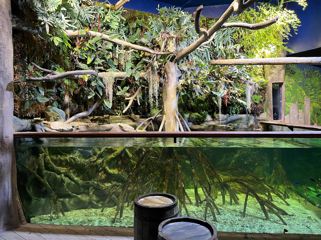 Grand Aquarium-圣马洛必去景点