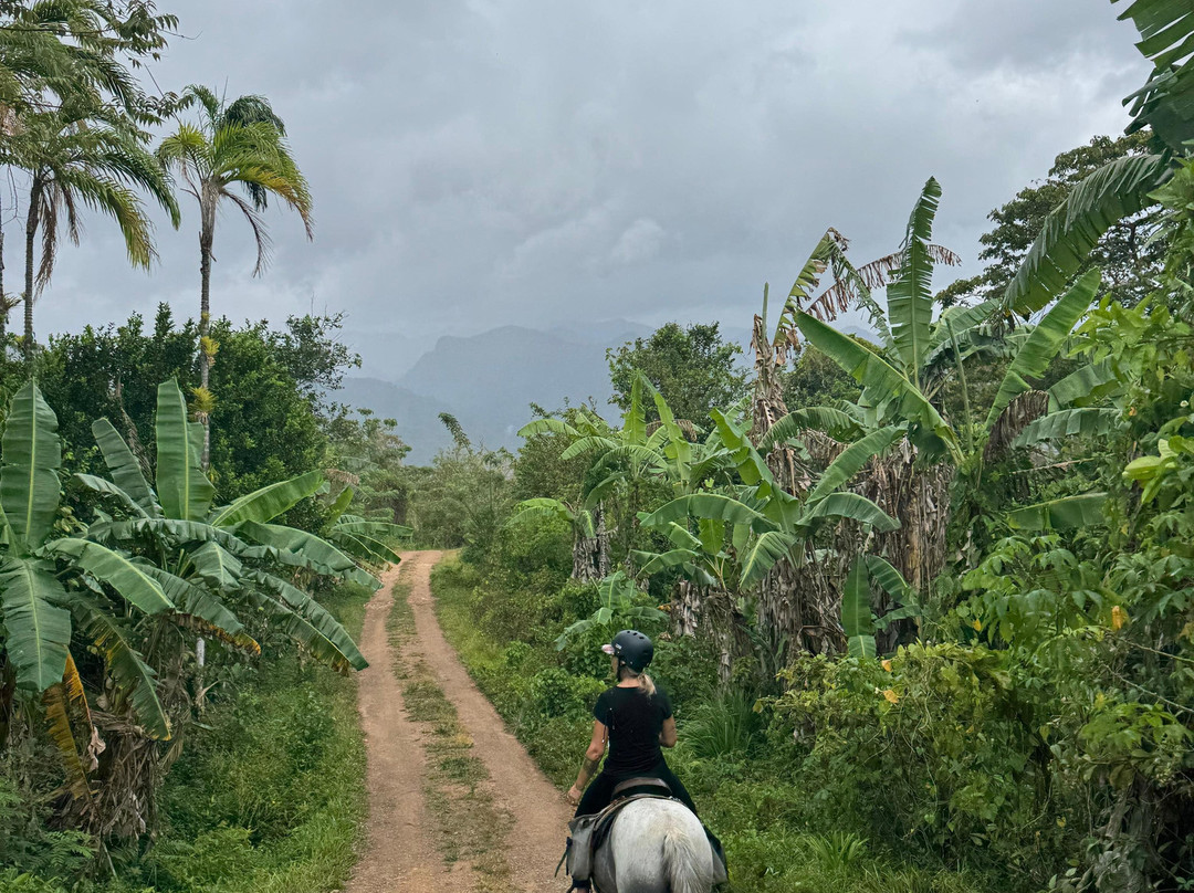 Horseback Panama Adventure Tours-Santa Fe必去景点
