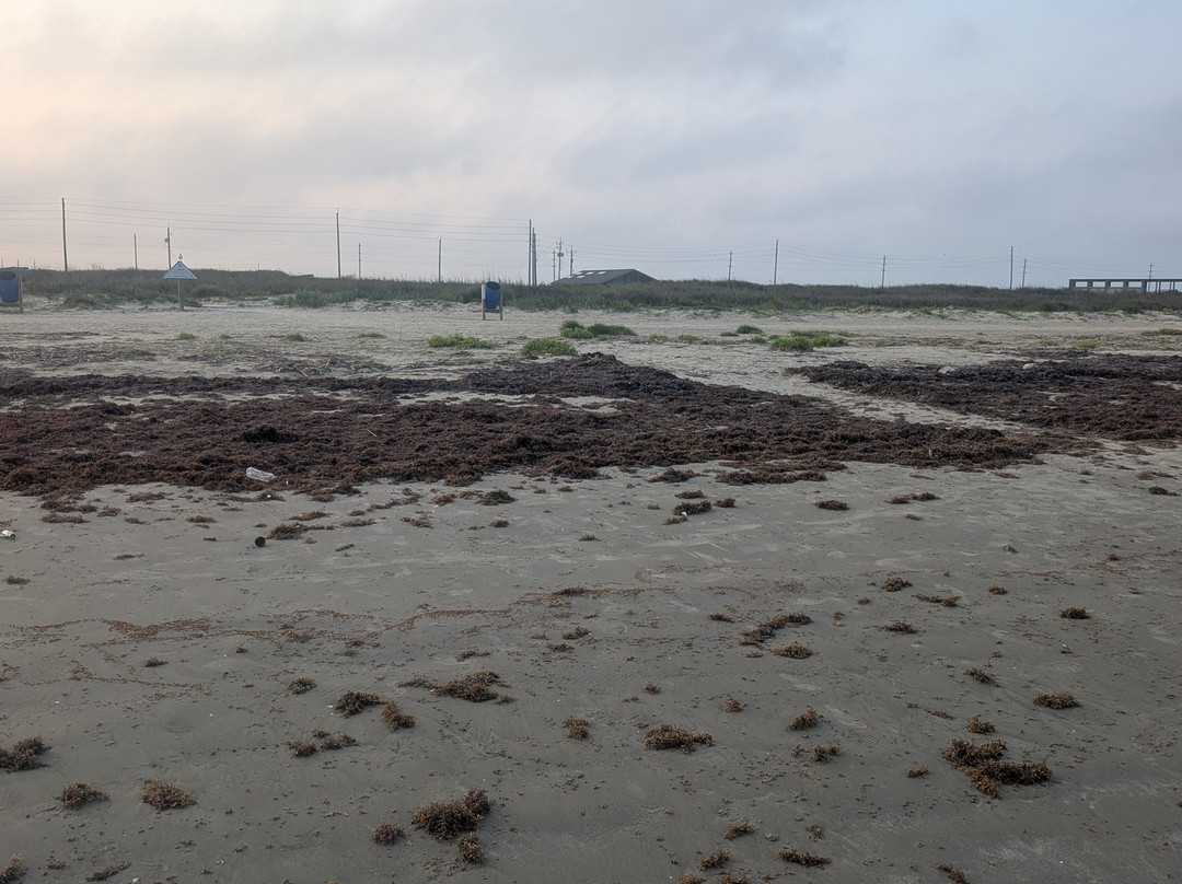 Galveston Island State Park-盖维斯顿必去景点