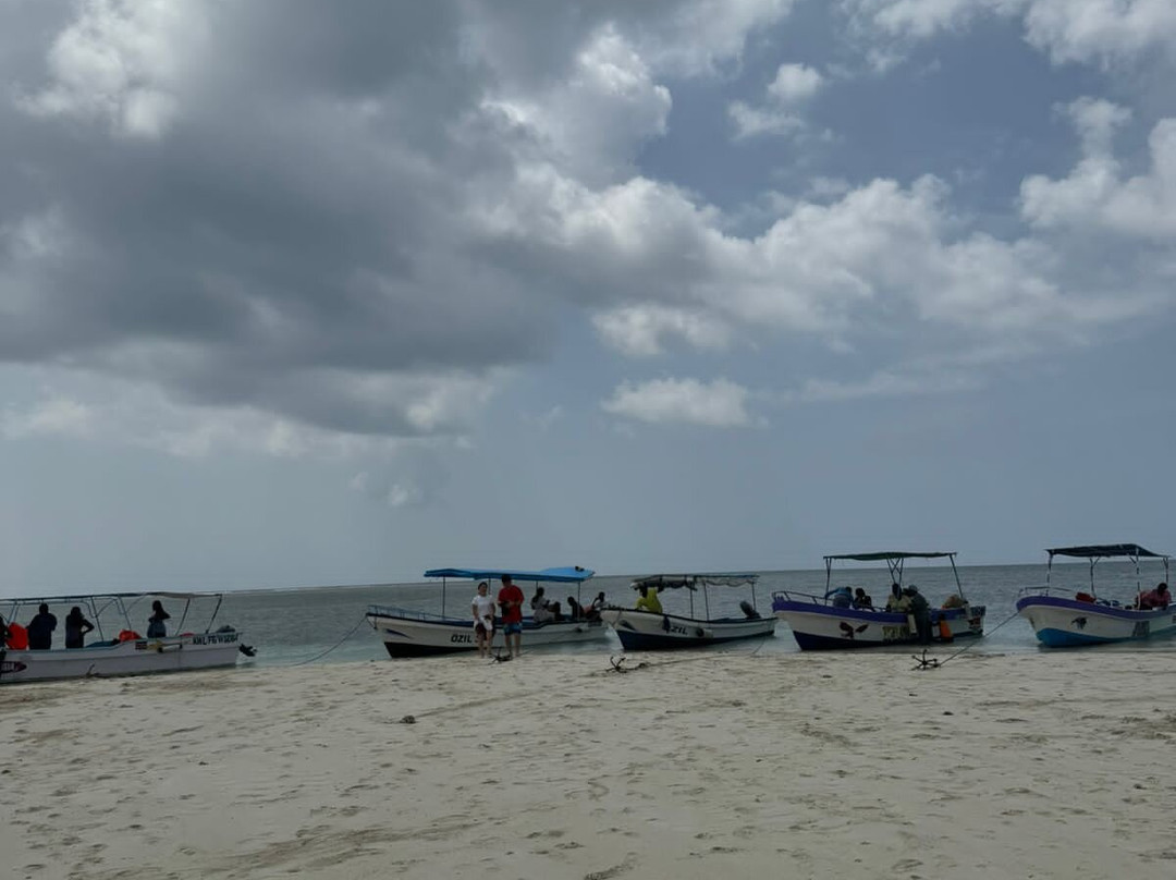 Kisite-Mpunguti Marine National Park and Reserve-Shimoni必去景点