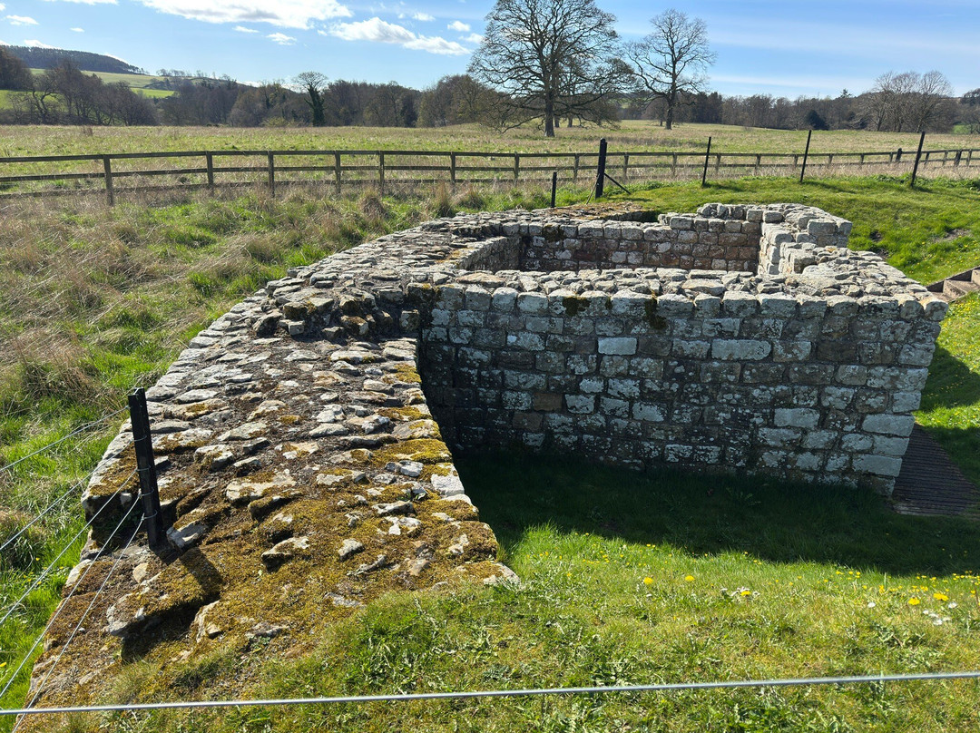 Chesters Roman Fort-赫克瑟姆必去景点