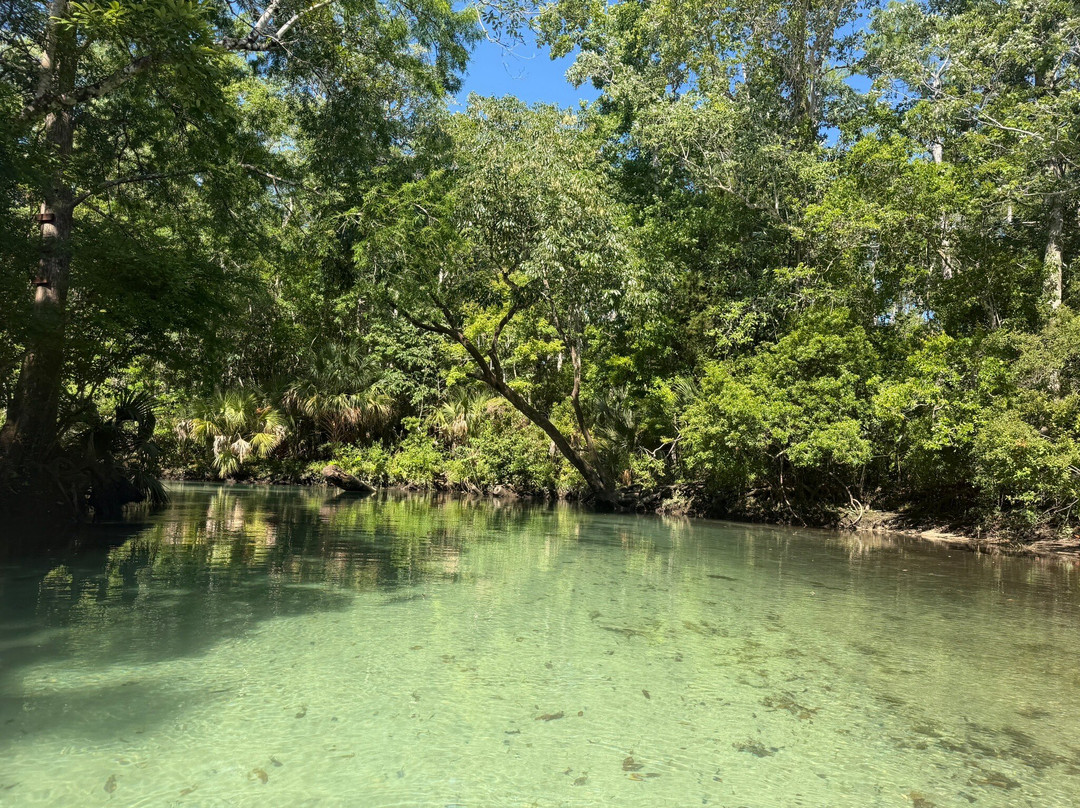 Weeki Wachee Kayaking-Weeki Wachee必去景点