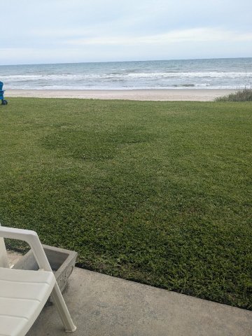 Whaler Inn Beach Club-旅行者