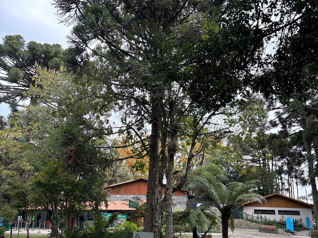 Parque do Caracol-卡内拉必去景点