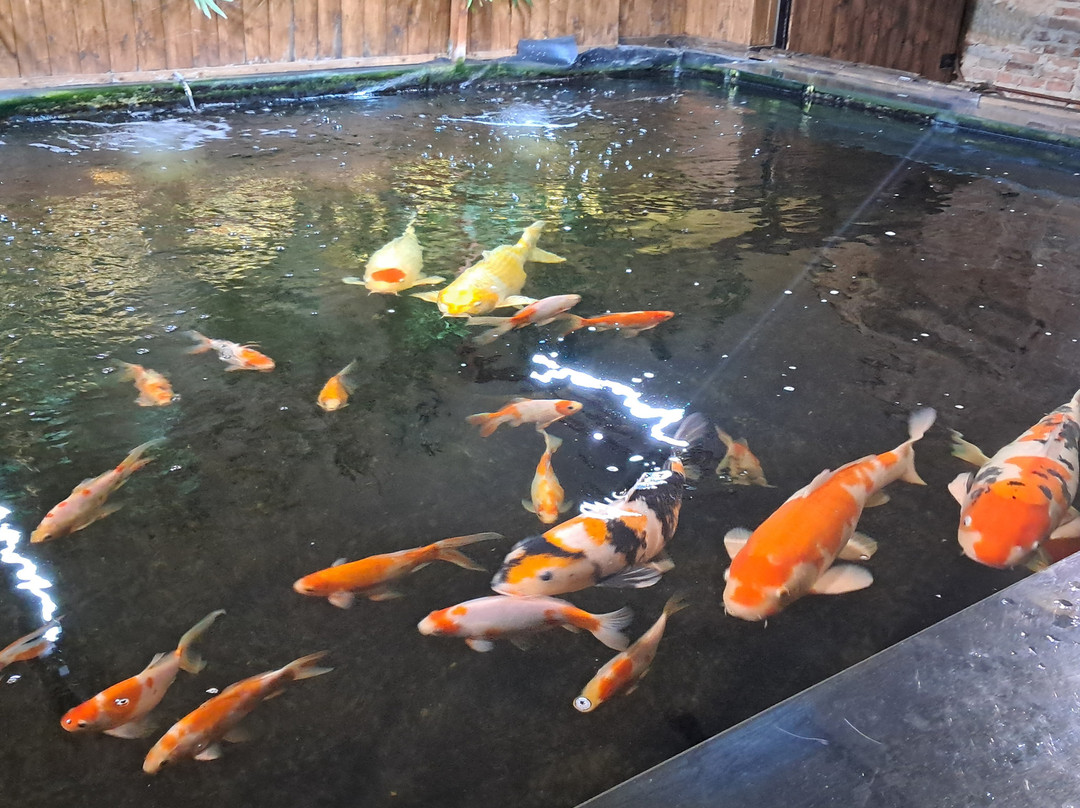 Museo di Storia Naturale - Universita di Pisa-Calci必去景点