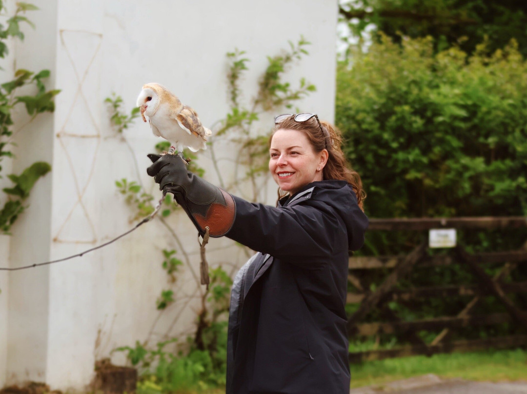 North Devon Hawk Walks-South Molton必去景点