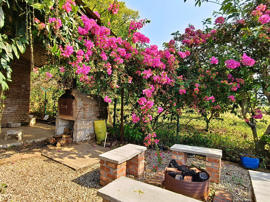 Forest Side Farm - Homestay at Kotabagh Near Nainital and Jim Corbett主图
