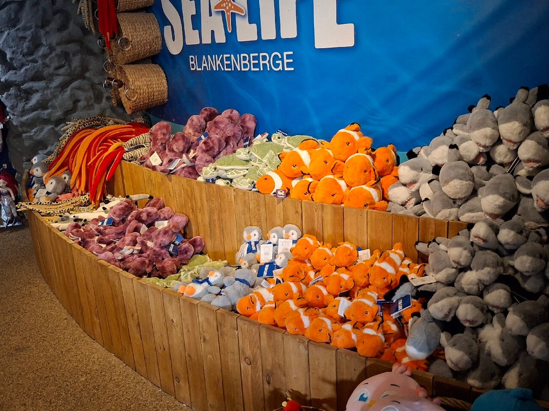 Sea Life Blankenberge-布朗肯堡必去景点