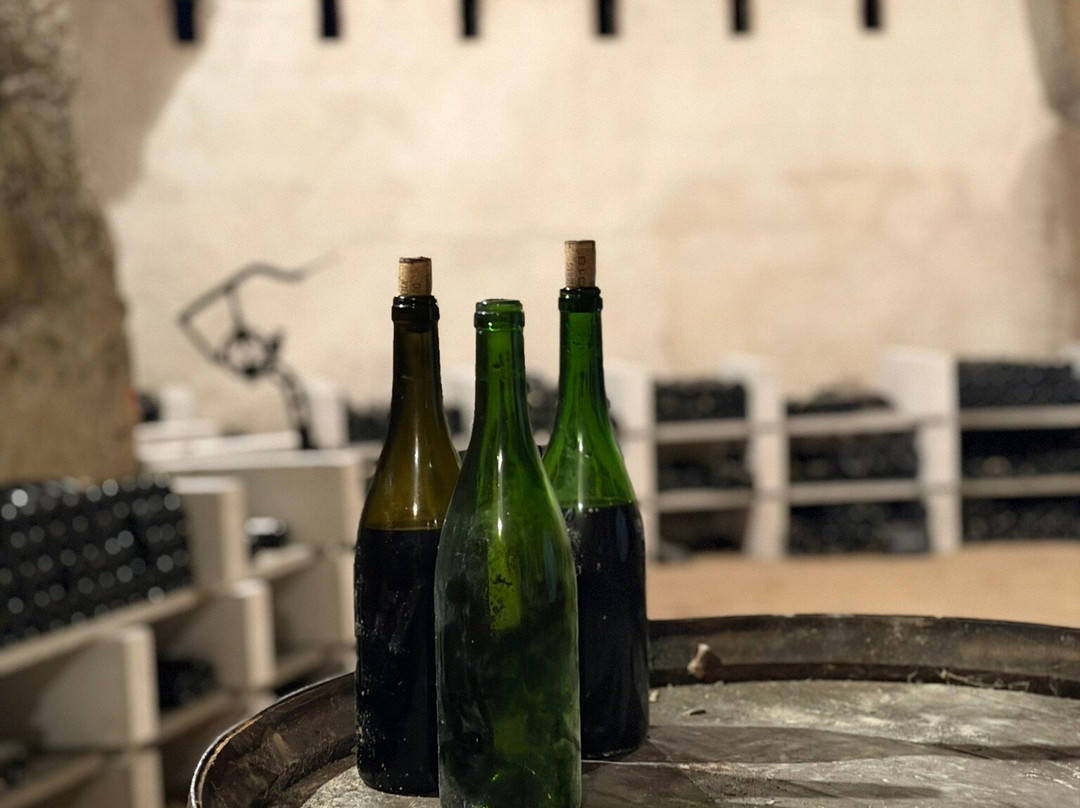 Domaine De La Chopinière Du Roy-Saint Nicolas de Bourgueil必去景点