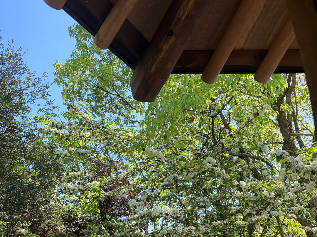 Senseki Garden-东广岛市必去景点
