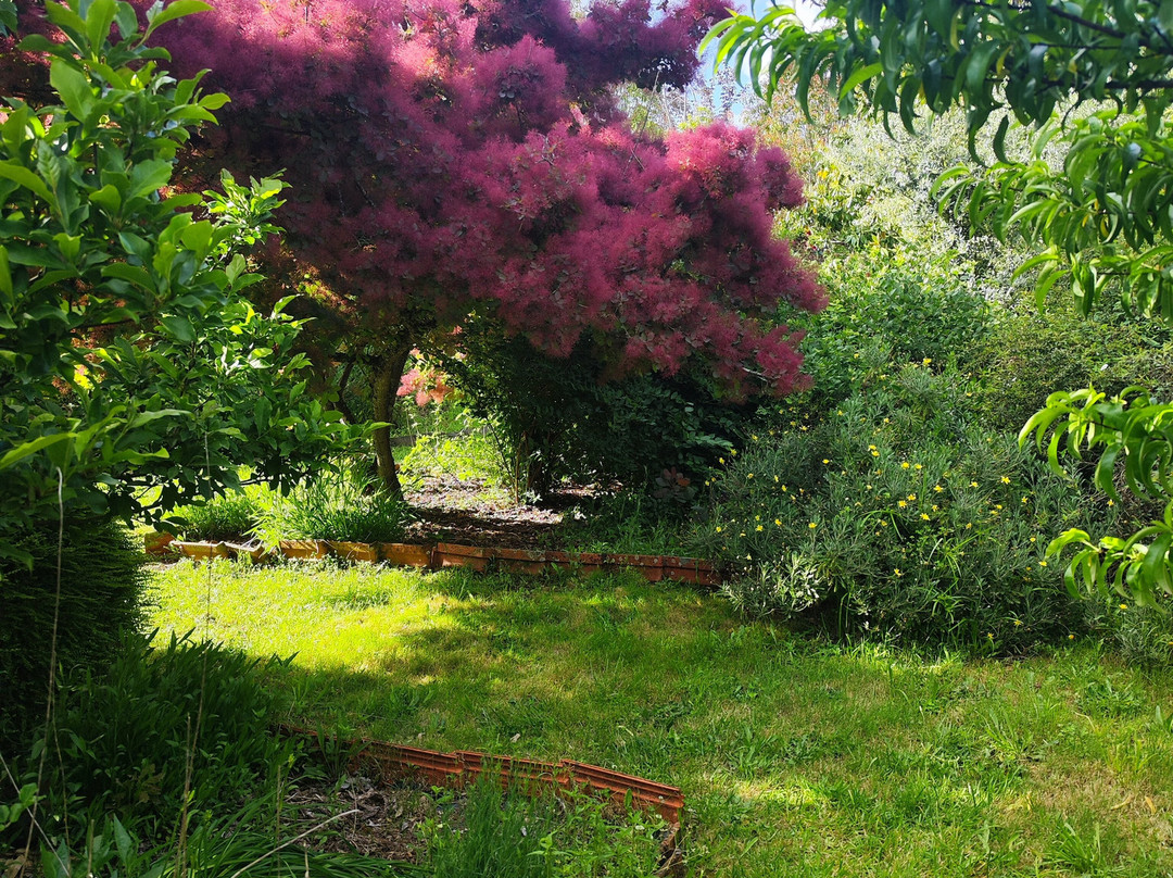 Les Jardins de la Quinta das Mil Flores-Pedrogao Grande必去景点