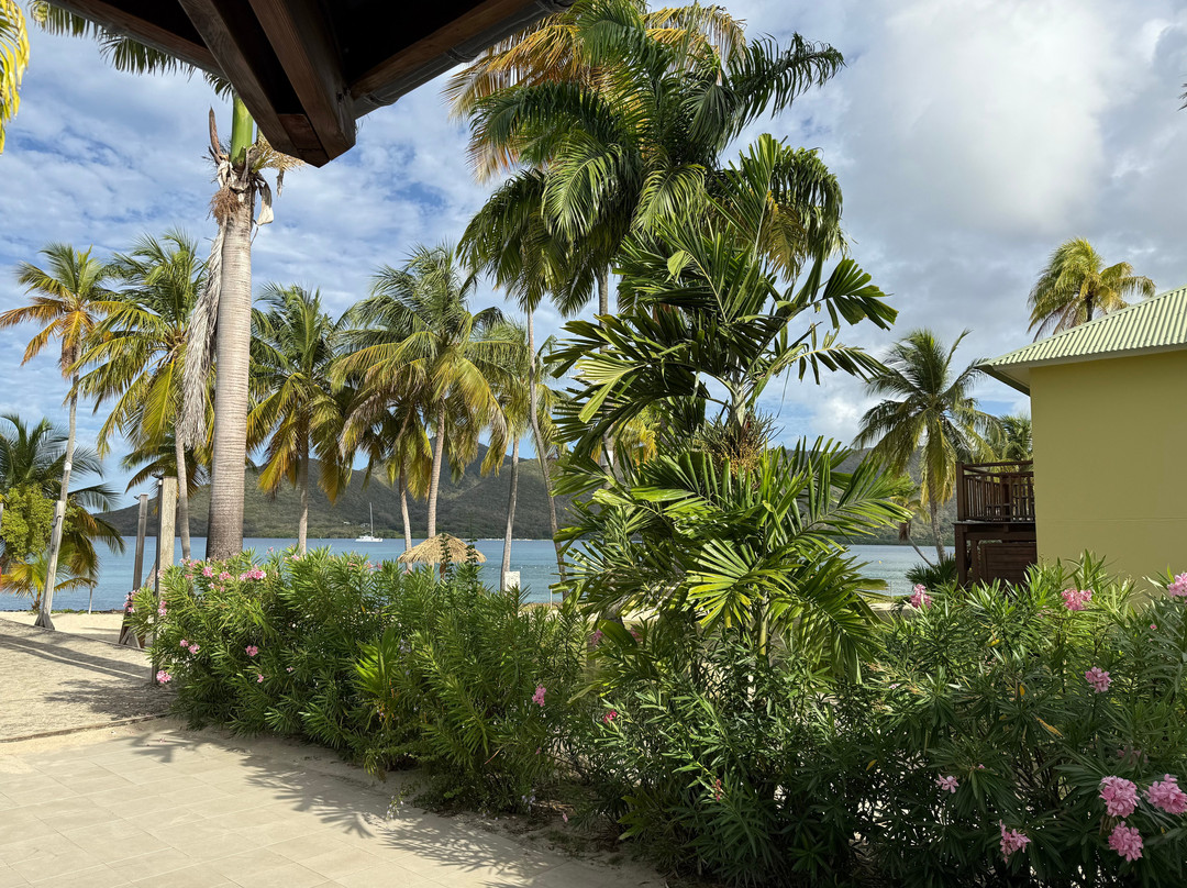 Club Med Les Boucaniers主图